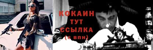 стаф Осташков