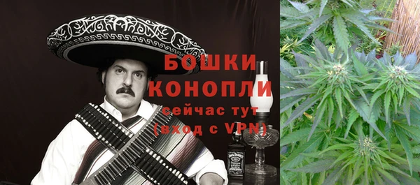 стаф Осташков
