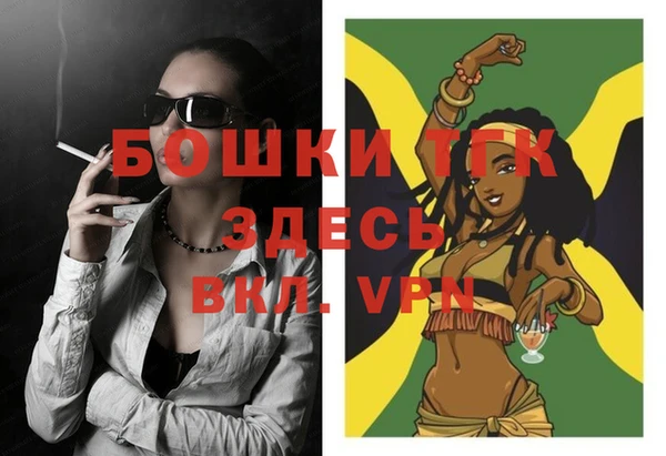стаф Осташков