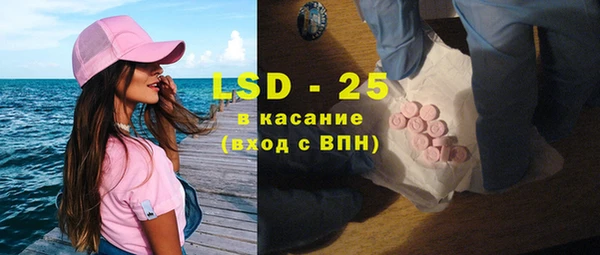 стаф Осташков