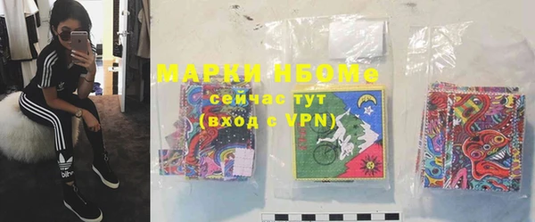 стаф Осташков