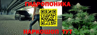 дмт Камышлов
