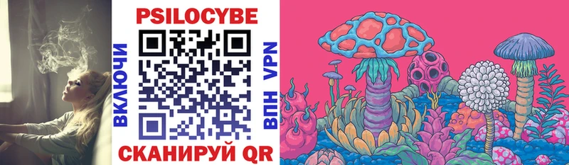 кракен зеркало  Торжок  Галлюциногенные грибы Magic Shrooms  купить  сайты 