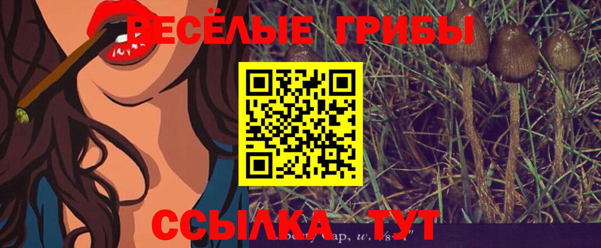 Псилоцибиновые грибы мицелий  Вход с VPN  Торжок 