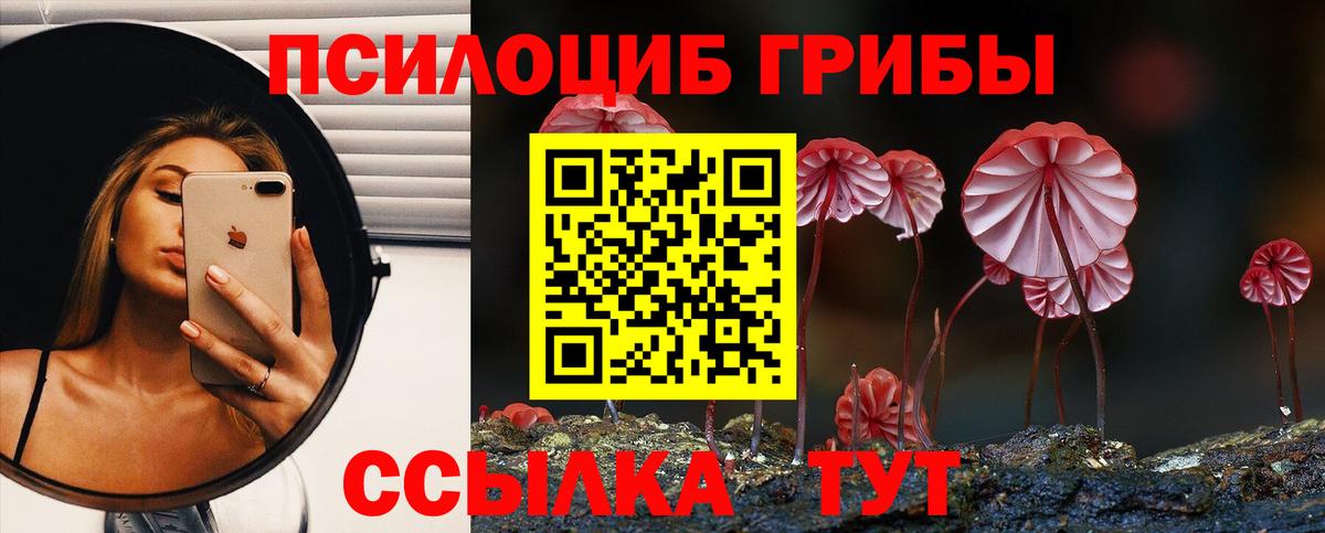 Псилоцибиновые грибы MAGIC MUSHROOMS Торжок